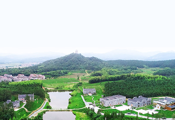 高岭文化村第 19 张图片