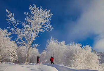 长白山仙峰雪岭景区第 24 张图片