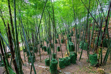 云顶草上世界第 85 张图片