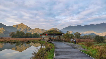大九湖国家湿地公园-观景台