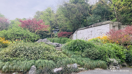龙井山园第 2 张图片