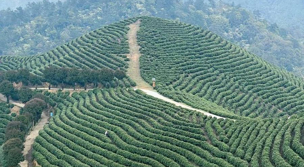湖州市驾云山风景区