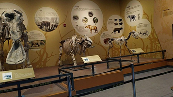 张家口地质博物馆