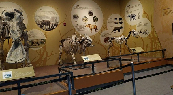 张家口地质博物馆