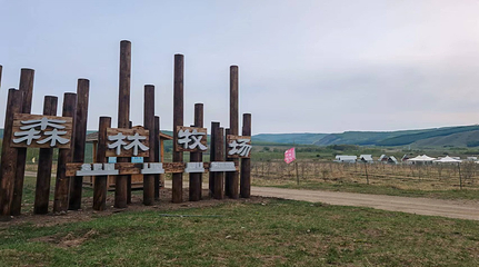 阿尔山鹿角湾营地景区第 25 张图片