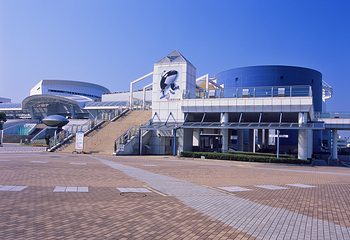 名古屋港水族馆第 8 张图片
