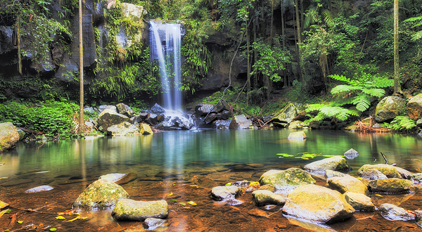 天宝林山国家公园