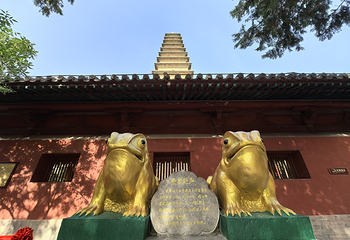普救寺第 6 张图片