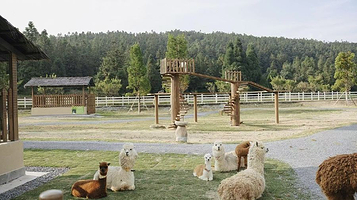 华邦-树洞星空乐园