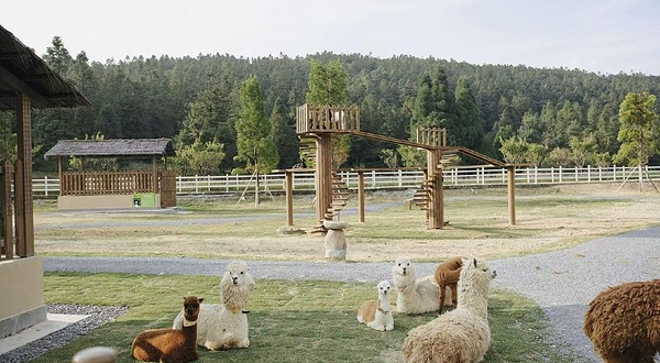 华邦-树洞星空乐园