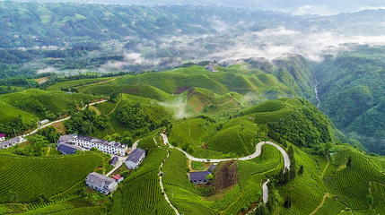 木耳山第 1 张图片