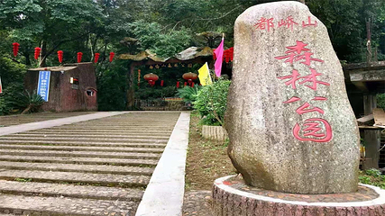 都峤山森林公园第 7 张图片