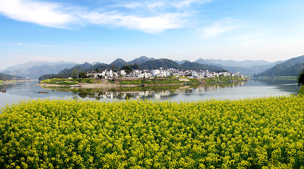 新安江山水画廊第 13 张图片