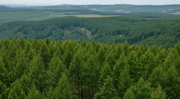 塞罕坝机械林场(总场治安派出所)