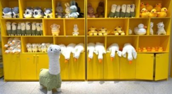 星域部落萌宠乐园