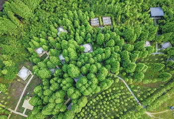浙江义远有机农场第 18 张图片