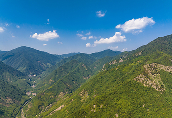 天目山自然保护区第 15 张图片