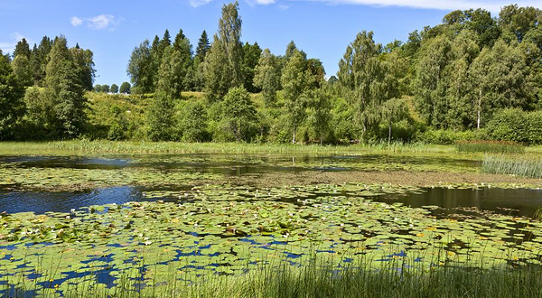 郑州国家森林公园