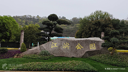 江滨公园第 4 张图片