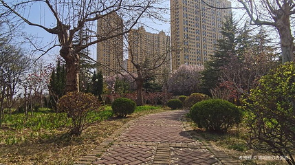 高密市文体公园第 1 张图片