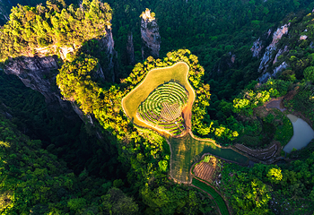 天子山风景区第 53 张图片