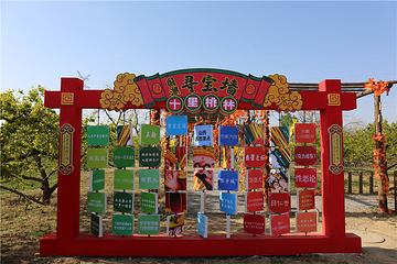莱芠小镇第 13 张图片
