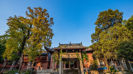 白龙观第 1 张图片