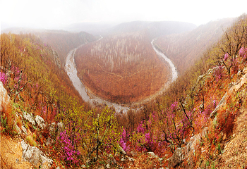 锦河大峡谷第 4 张图片