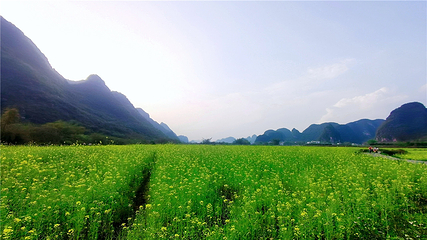 遇龙河景区第 27 张图片