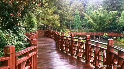 紫金公园第 1 张图片