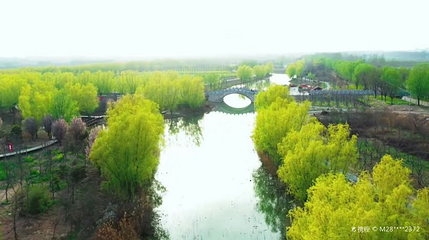 陈桥湿地风景区第 1 张图片