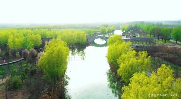 陈桥湿地风景区