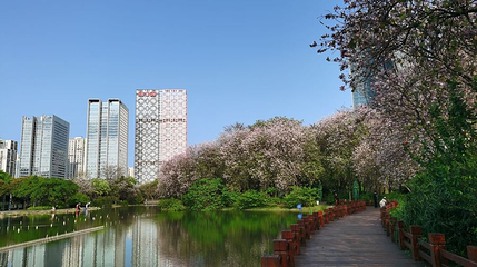 柳州市河东公园第 1 张图片