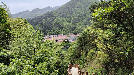 东山公园第 2 张图片