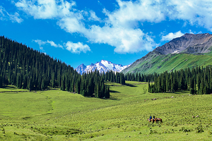 那拉提国家森林公园