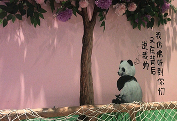 卡萌动物公园(万达广场濮阳店)第 19 张图片