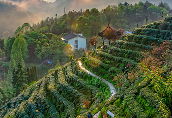 茶溪谷第 1 张图片