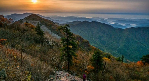 花脖山景区