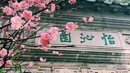 虞山公园第 17 张图片