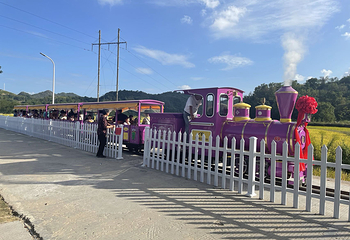 温岭田园牧歌旅游度假区第 10 张图片