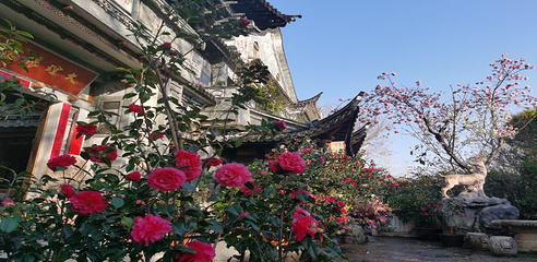 张家花园第 11 张图片