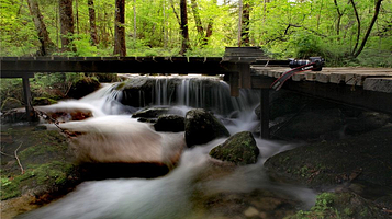 妈妈顶原始森林景区