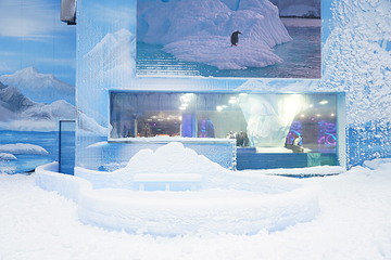 正佳企鹅冰雪世界第 17 张图片