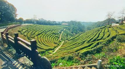 枝江青龙山森林公园第 4 张图片