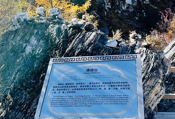 稻城亚丁-佛缘台第 1 张图片