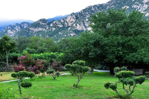 凤凰岭四季风情园