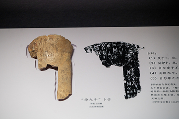 山东博物馆第 27 张图片