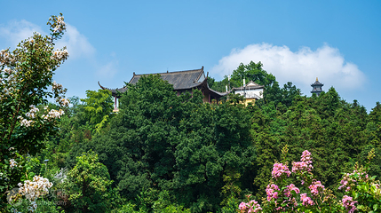 冶父山国家森林公园第 3 张图片