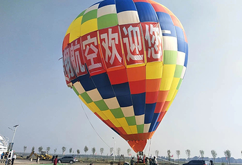 宁夏贺翔航空旅游小镇第 15 张图片
