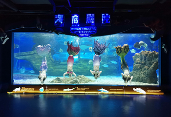 遵义冰雪海洋世界第 30 张图片